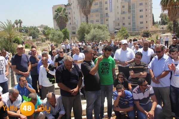 jaanzaa 0501 (31).JPG